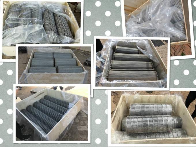 SUS316L สแตนเลสสายพานลำเลียงสายพานลำเลียงผลิตตาข่าย Wire 6